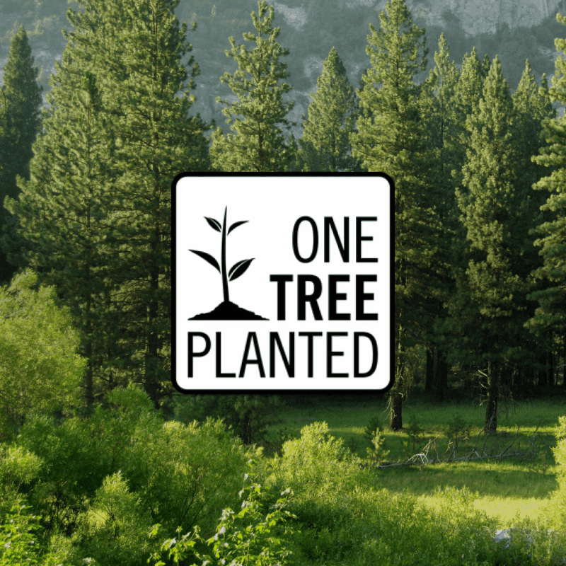 one tree planted